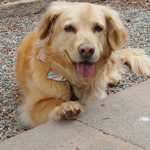 Meet your Posher, Casey - Picture 2 of 12